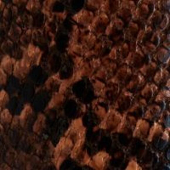 ALFANI Womens Brown Snake Skin Print Step N Flex Harpper Almond Booties 7 M - Picture 4 of 4